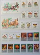 Collection De Timbres Sur Le Thème Des Champignons. - Sammlungen (ohne Album)