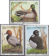 Luxemburg 1503-1505 (kompl.Ausg.) Postfrisch 2000 Enten - Unused Stamps