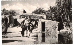 SCENES ET TYPES  AFRIQUE DU NORD MAGHREB : GOURBIS DANS L'OASIS - VERITABLE PHOTO BROMURE JOMONE - Scènes & Types