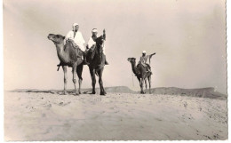 SCENES ET TYPES  AFRIQUE DU NORD MAGHREB : CHAMELIERS DANS LE DESERT - VERITABLE PHOTO BROMURE JOMONE - Scenes