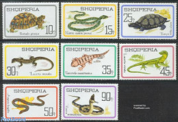Albania 1966 Reptiles 8v, Mint NH, Nature - Reptiles - Snakes - Turtles - Albania