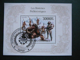 Archaeology Homo Sapiens Mammoths # Comoros 2010 Used S/s #532 Comores - Arqueología