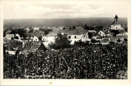 Oggau, Bgld. - Eisenstadt