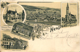 Gruss Aus Neustadt A D Haardt - Litho - Neustadt (Weinstr.)