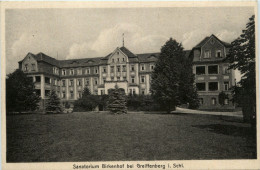 Sanatorium Birkenhof Bei Greiffenberg In Schlesien - Schlesien