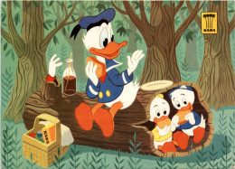 Donald Duck - Other & Unclassified