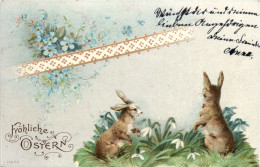 Ostern - Hasen - Pasqua