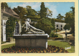 49. SAUMUR – Entrée Du Jardin Des Plantes / CPSM (voir Scan Recto/verso) - Saumur