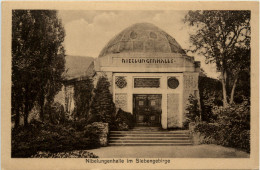 Nibelungenhalle Im Siebengebirge - Königswinter - Koenigswinter