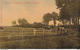 Breukelen Landschap Aan Het Zandpad 1915 Oorlogscorrespondentie - Breukelen