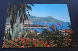 Beaulieu - Vue Générale - La Baie Des Fourmis - Couleurs Naturelles - Beaulieu-sur-Mer