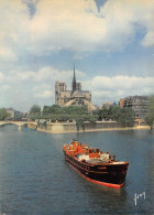 75-PARIS NOTRE DAME ET SQUARE DE L ILE DE FRANCE-N°T1123-F/0033 - Notre Dame De Paris