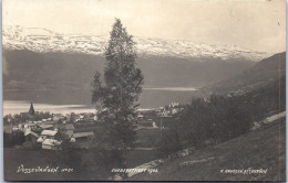 NORVEGE - VOSSEVANGEN - Vue Partielle En 1908 - Noruega