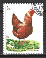 SHARJAH. Timbre Oblitéré. Poule. - Hühnervögel & Fasanen