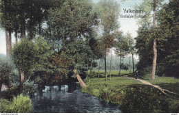 Valkenburg Verliefde Bomen 1913 - Valkenburg