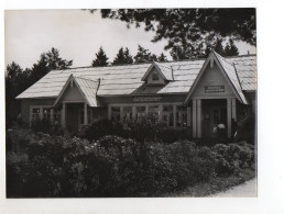 F6083/ Svenigorod Rußland Ferienlager Der Jungen Pioniere Foto Ca.1960 24 X 18cm - Ohne Zuordnung