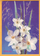 1990 RUSSIA RUSSIE USSR URSS  Postcard  Bouquet Of Flowers. 8 March. Daffodils. - 1980-91