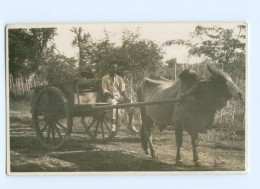 T5282/ Niederländisch Indien Indonesien Ochsenfuhrwerk Foto AK 1929 - Otros & Sin Clasificación