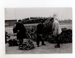 F6127/ Tannenbaumfüße Für Weihnachtsbaumverkäufer Foto Ca.1950 23,5 X 16,5 Cm - Non Classificati