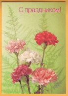 1990. RUSSIA RUSSIE USSR URSS Plants  Flowers Postcard 03/08/1990 Happy Holidays. Carnations. - 1980-91