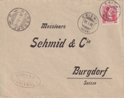 Motiv Brief  "Schmid & Co., Eriswil" - Burgdorf       1909 - Cartas & Documentos