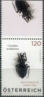 AUSTRIA - 2024 - STAMP MNH ** - Black Pit Beetle (Carabus Nodulosus) (IV) - Nuovi