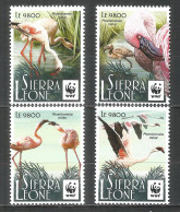 Sierra Leone 2017 Mint Stamps MNH(**) WWF - Lesser Flamingo - Sierra Leone (1961-...)