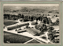 CPSM Dentelée (33) PAUILLAC - Mots Clés: Cave Château Lafitte-Rotchild, Vigne, Vin, Viticulture - 1950 - Pauillac