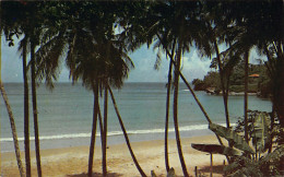 Trinidad & Tobago - Beach Scene - Publ. Syncolor  - Trinidad