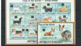 DOGS - ANTIGUA - 1994 - SMALL DOGS SHEETLET OF 12 + S/SHEET MINT NEVER HINGED - Chiens