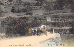 Japan - NAGASAKI - Road To Mogi, Tagami - Autres & Non Classés