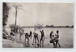 Niger - NIAMEY - La Lessive - Ed. Souchette 2248 - Níger