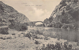 Liban - Fleuve Du Chien - Vieux Pont - Ed. André Terzis & Fils 10 46266 - Liban