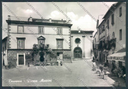 Viterbo Tuscania Foto FG Cartolina ZF8597 - Viterbo