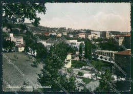 Siena Chianciano Terme FG Foto Cartolina KB5410 - Siena