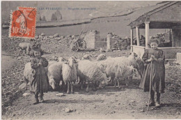 Les Pyrénées, Bergères Improvisées-2 Petites Filles Avec Leur Troupeau De Moutons - Autres & Non Classés