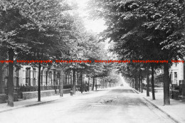 F006279 Hampshire. Portsmouth. Laburnum Grove - REPRODUCTION - Other & Unclassified