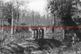 F006236 Terling. Old Dairy Bridge. 1920 - REPRODUCTION - Other & Unclassified