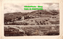 R429013 Mount Of Olives And Gethsemane. Beagles. 599. V. RP. P. Coustoulides - Wereld