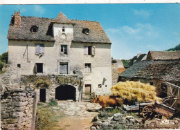 FERMES..CPSM. LOZERE (48) . . FERME LOZERIENNE. ATTELAGE BOEUFS. MOISSONNEUSE LIEUSE. - Boerderijen