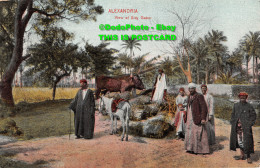 R429127 Alexandria. View Of Sidy Gaber. The Cairo Postcard Trust. Egypte - Mundo