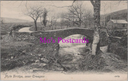 Scotland Postcard - Hyle Bridge, Near Creagan  DZ121 - Argyllshire