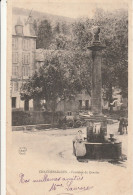 15 CHAUDES AIGUES   FONTAINE DU GRAVIER - Autres & Non Classés