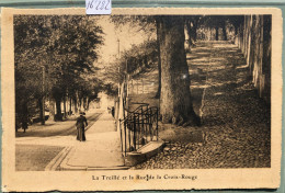 Genève - Rue De La Croix-Rouge Et Montée De La Treille (16'282) - Genève