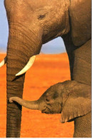 Carte Double IFAW Protéger Les éléphants - Ref 6NA1-FR5 - Elefanti