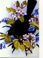 Carnet Museum Collection Great British Company, Illustrateur,Blackbird In Cherry Blossom - Vögel
