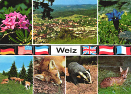 WEIZ, MULTIPLE VIEWS, ARCHITECTURE, FLOWERS, ANIMAL, FOX, COW, BADGER, DEER, FLAG, AUSTRIA, POSTCARD - Weiz