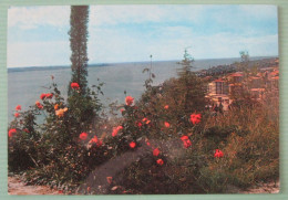 Piran Portorož / Pirano Portorose - Panorama - Slovénie