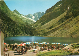 CPM - P - HAUTES PYRENEES - ENVIRONS DE CAUTERETS - LA TERRASSE DU BAR RESTAURANT DU LAC DE GAUBE - LA VIGNEMALE - Cauterets