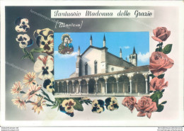 P29 Cartolina Mantova Citta'  Mantova Santuario Madonna Delle Grazie - Mantova